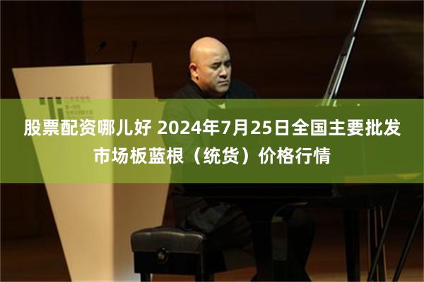 股票配资哪儿好 2024年7月25日全国主要批发市场板蓝根（统货）价格行情