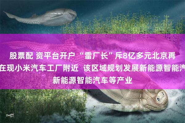 股票配 资平台开户 “雷厂长”斥8亿多元北京再拿地，就在现小米汽车工厂附近  该区域规划发展新能源智能汽车等产业