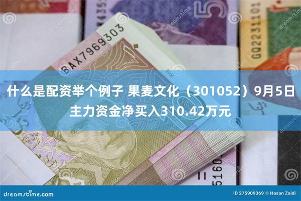 什么是配资举个例子 果麦文化（301052）9月5日主力资金