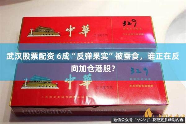 武汉股票配资 6成“反弹果实”被蚕食，谁正在反向加仓港股？