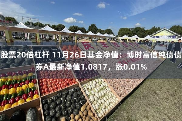 股票20倍杠杆 11月26日基金净值：博时富信纯债债券A最新