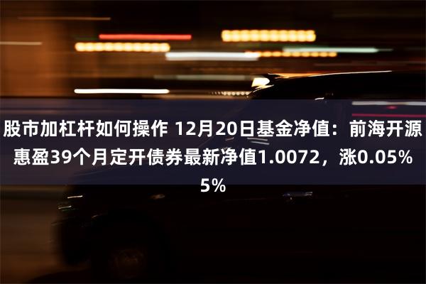 股市加杠杆如何操作 12月20日基金净值：前海开源惠盈39个