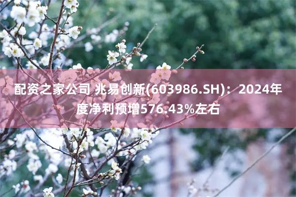 配资之家公司 兆易创新(603986.SH)：2024年度净